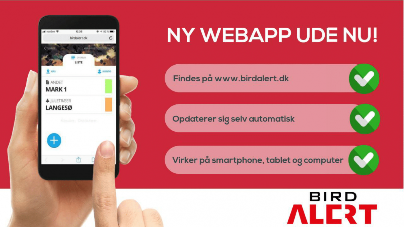 BirdAlert webapp på mobil og computer
